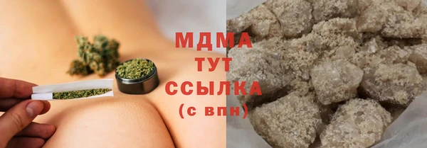 индика Инта