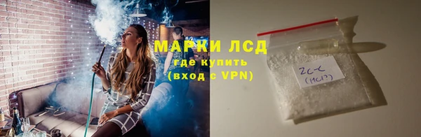 мяу мяу мука Инсар