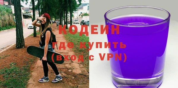 индика Инта